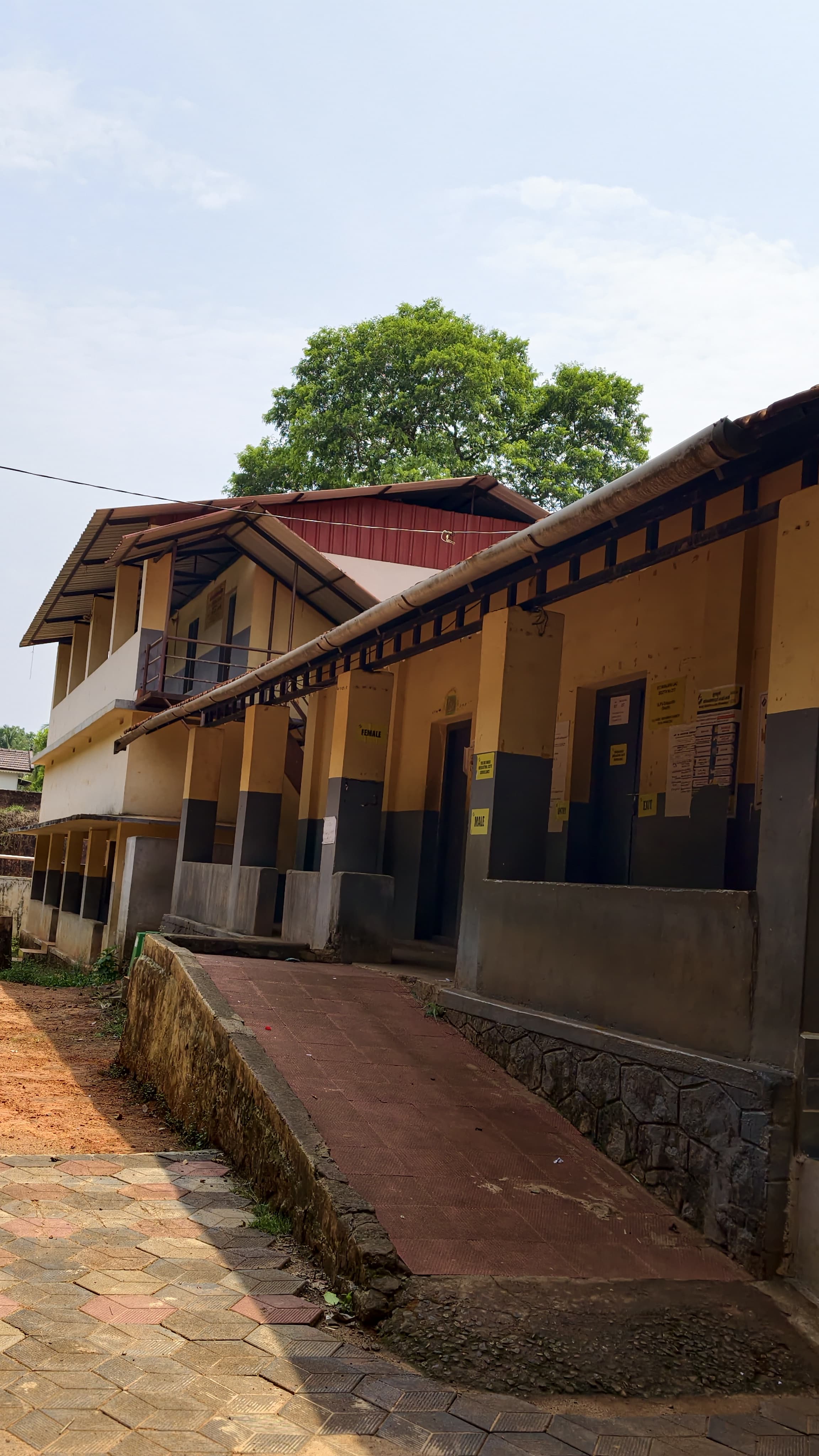 School activities 4